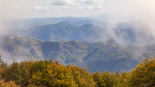 Manifattura Ceccarelli