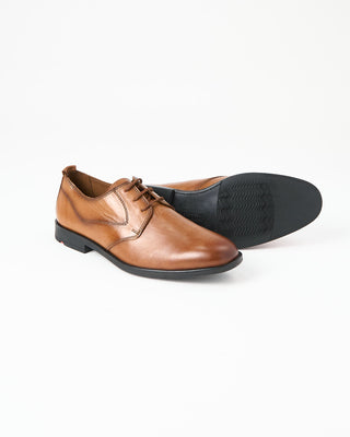 Lloyd Larin Derby Shoes Cognac 685