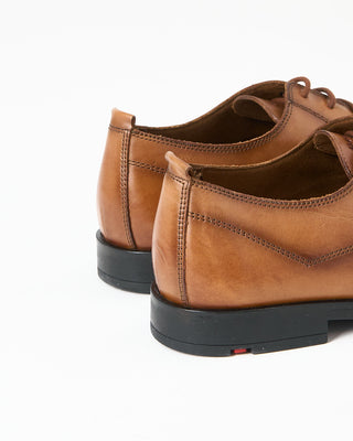Lloyd Larin Derby Shoes Cognac 687
