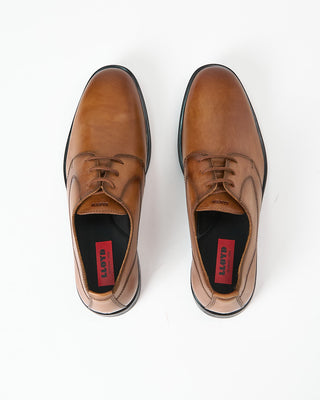 Lloyd Larin Derby Shoes Cognac 689