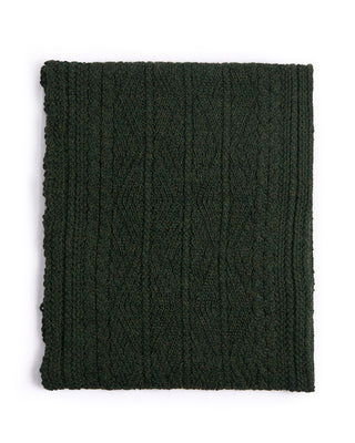 Inis Meain Alpaca Silk Classic Aran Cable Scarf Green 2 4506