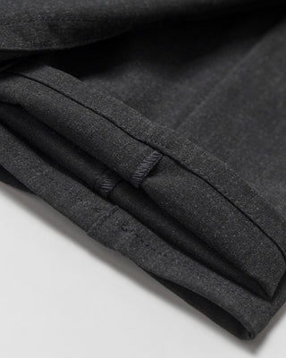 Alberto Charcoal Pipe Regular Slim Fit Ceramica 5 Pocket Tech Dress Pants Charcoal  4