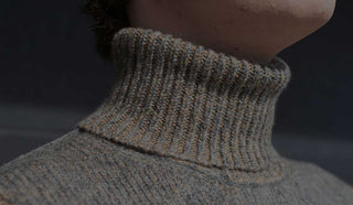 Close up image of turtle neck