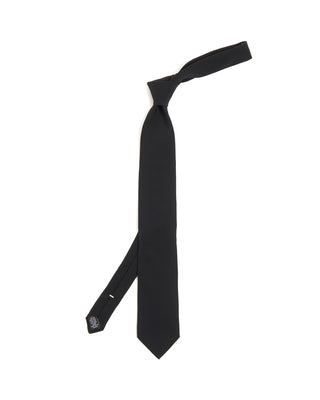 Dion Satin Silk Necktie Black 10172