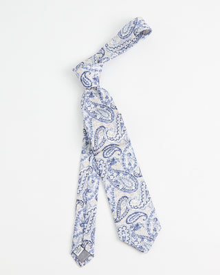 Dion Printed Panama Mystic Teardrop Paisley Silk Tie Blue  2
