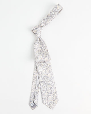 Dion Printed Panama Mystic Teardrop Paisley Silk Tie Beige  2