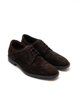 Lloyd Brogue Suede Shoes Chocolate 4 3847