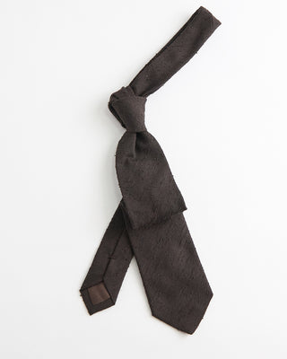 Paolo Albizzati Shantung Silk Tie / Chocolate  2