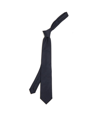 Paolo Albizzati Wool Tie 6220