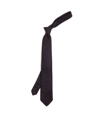 Paolo Albizzati Wool Tie 6195