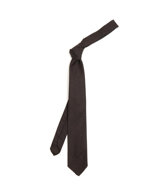 Paolo Albizzati Wool Tie 6199