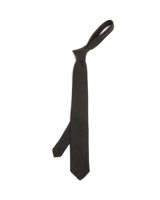 Paolo Albizzati Wool Tie 6216