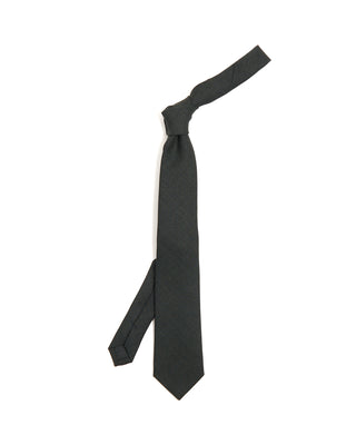 Paolo Albizzati Wool Tie 6206