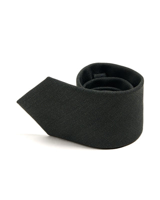 Paolo Albizzati Wool Tie 6276