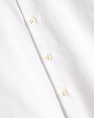 Sonrisa Oxford Cloth Comfort Fit Button Down Collar 4053