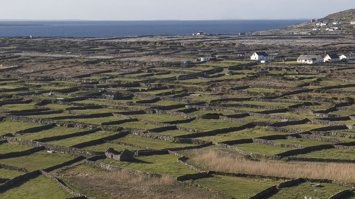 Stone-walled fields on Inis Meáin running down to the sea
