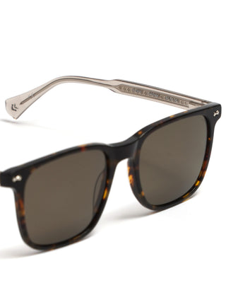 Sjv557 Classic Square Polarized Sunglasses / Havana