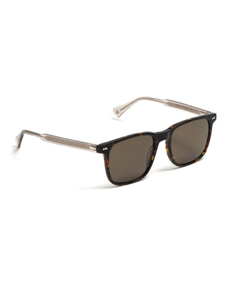 Sjv557 Classic Square Polarized Sunglasses / Havana