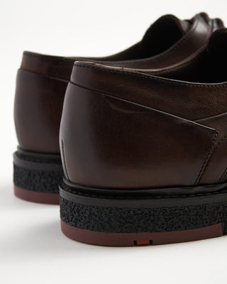 Falk 2 Tone Derby Shoe / Brown
