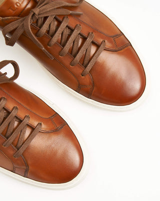 Sprint Leather Sneakers / Chestnut