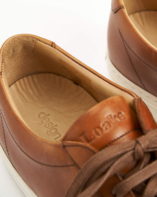 Sprint Leather Sneakers / Chestnut